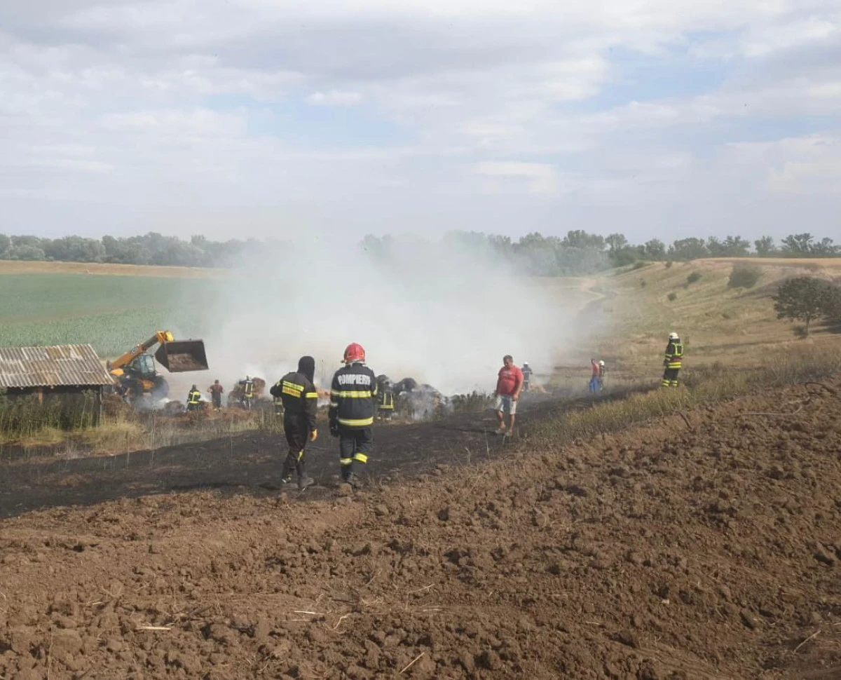 Incendiile de vegetație uscată pot duce la catastrofe