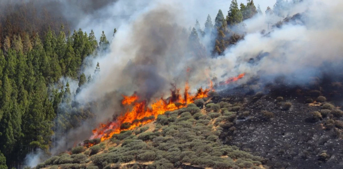 Incendiile din Granaria Canaria scapă de sub control. Mii de persoane au fost evacuate