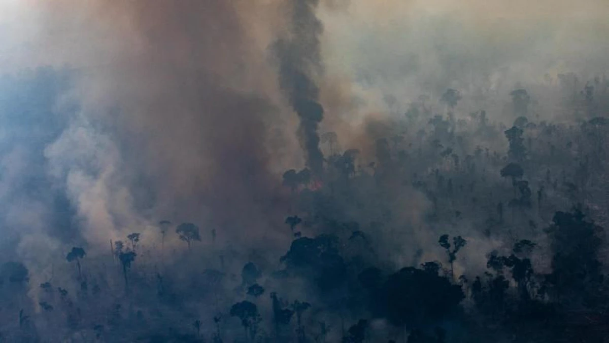 Incendiile ilegale distrug din nou Pădurea Amazoniană