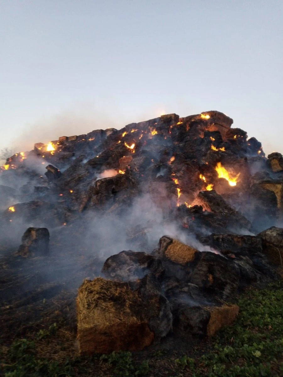 Incendiu de 12 ore pe drumul Pecica-Nădlac, circulația fiind îngreunată