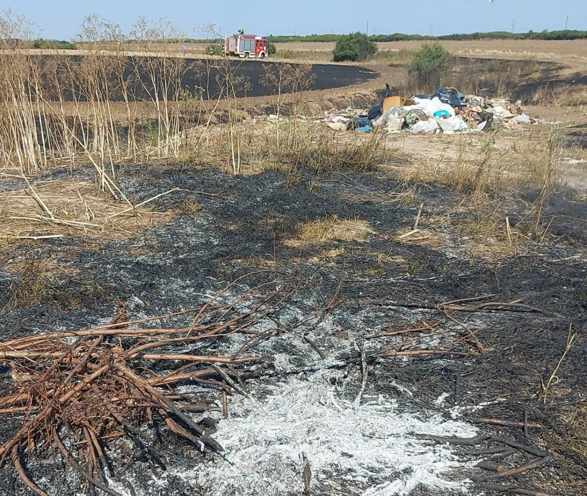 Incendiu de miriște și vegetație uscată în localitatea Adea