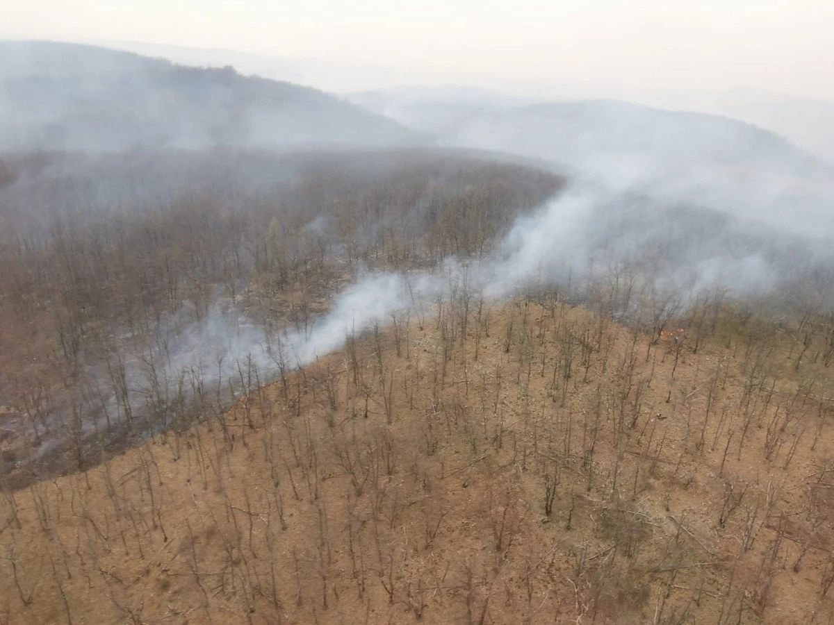 Incendiu de proporții în zona Tauț! S-a cerut intervenția elicopterului SMURD