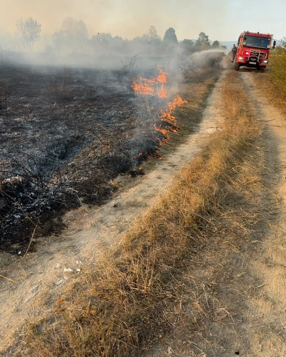 Incendiu de proporții între Gurahonț și Almaș: 200 de hectare de vegetație și pășune împădurită, mistuite de flăcări