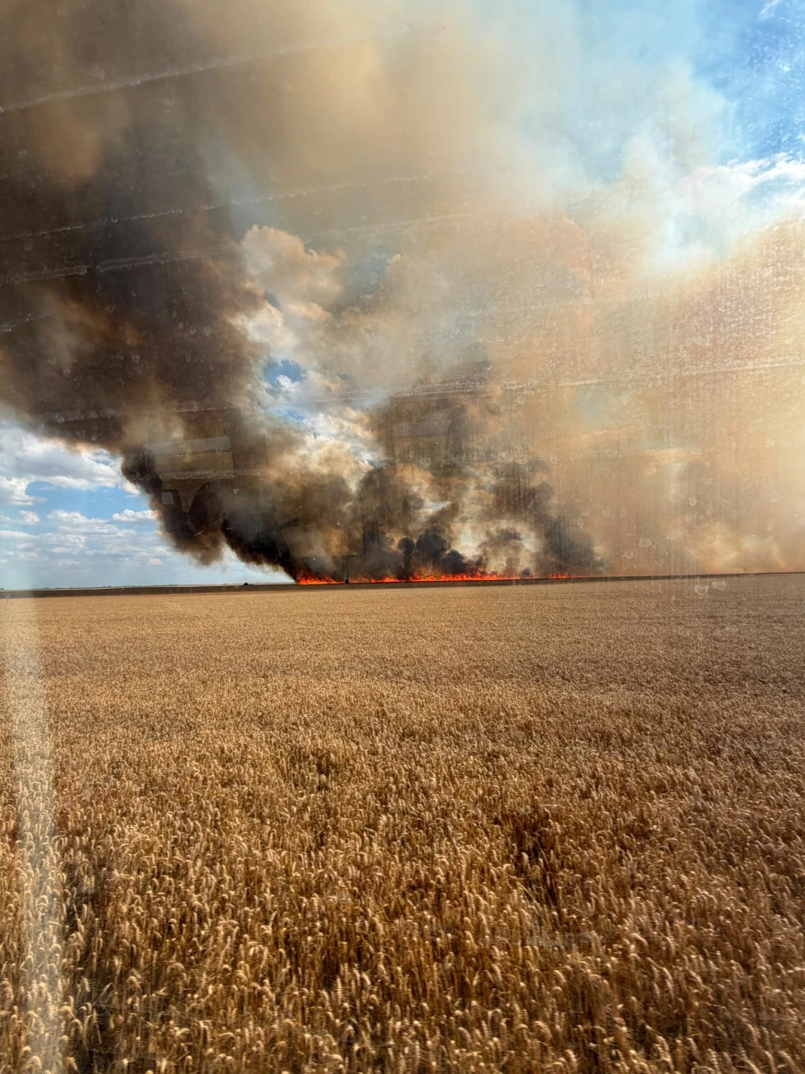 Incendiu de proporții la Curtici. Aproximativ 50 de hectare de grâu și miriște au fost cuprinse de flăcări