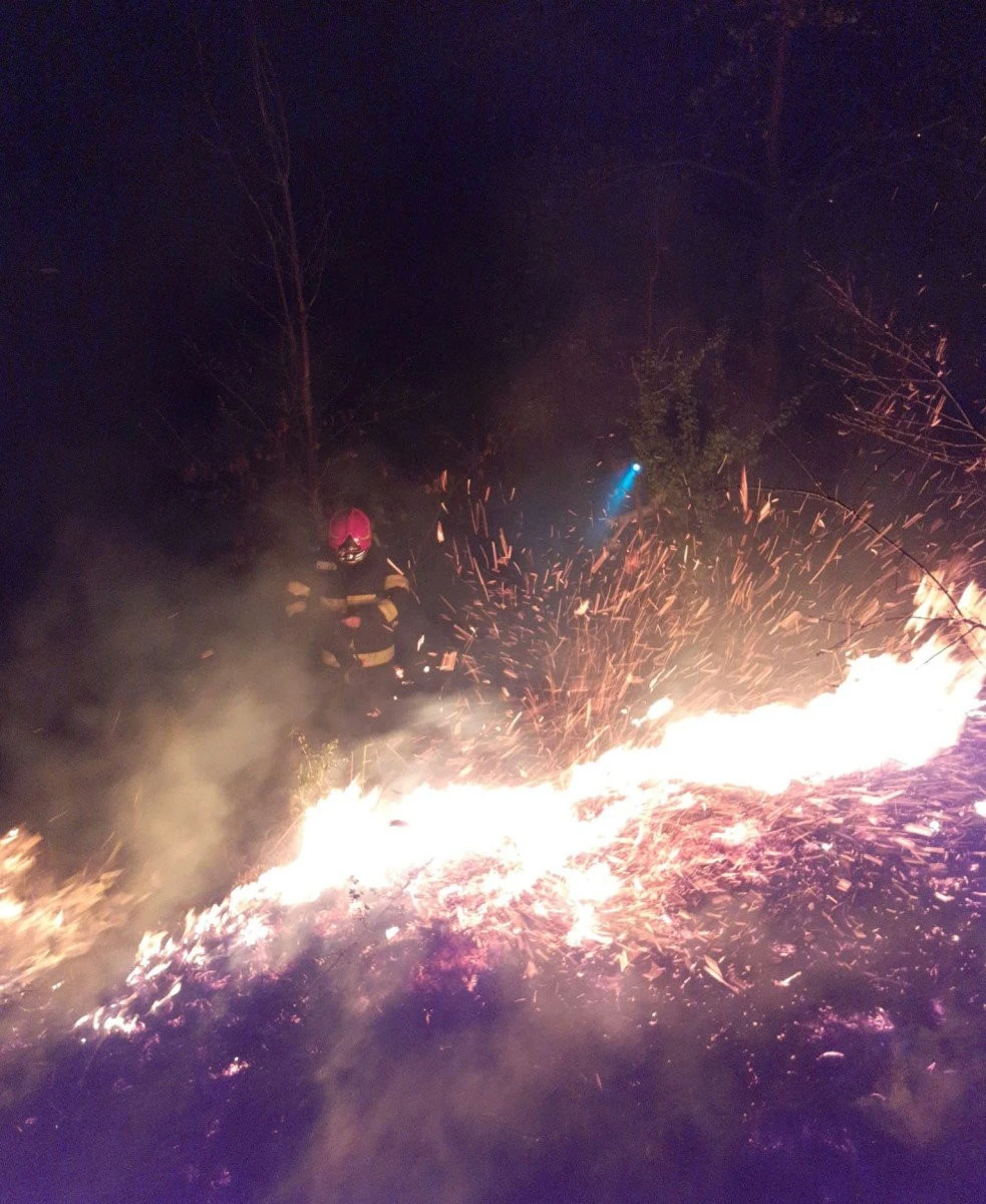 Incendiu de proporții, la Groșeni. Pompierii au luptat trei ore cu flăcările