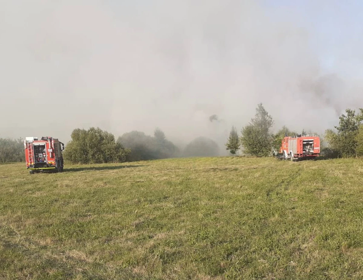 Incendiu de proporții la o fermă dezafectată, între Șagu și Mailat