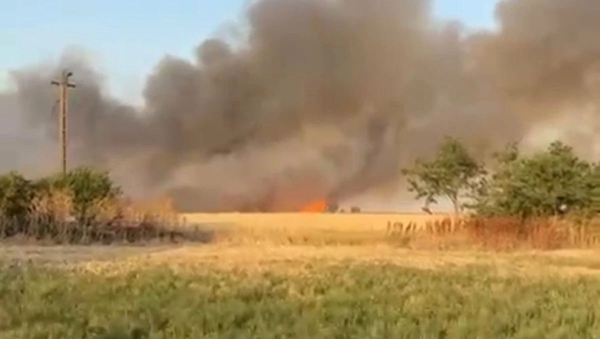 Incendiu de proporții la un lan de grâu din Arad. Mai mult de 10 hectare au fost afectate