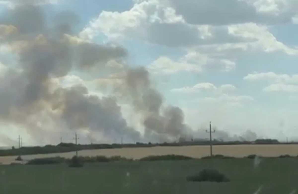 Incendiu de proporții la un lan de grâu, între Arad și Pecica, pe aproximativ 20 de hectare