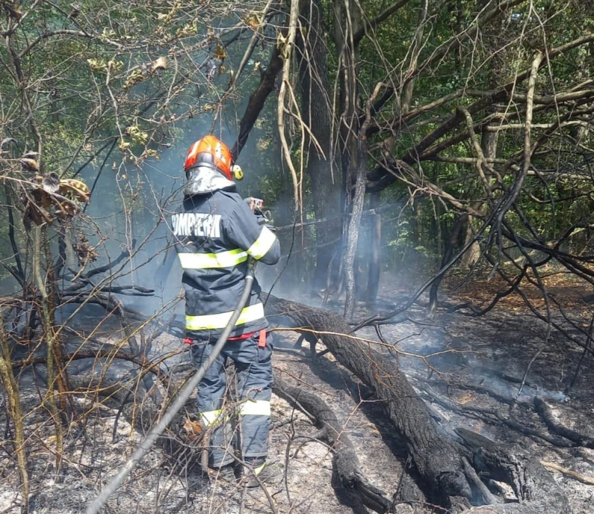 Incendiu de vegetație în comuna Hălmagiu. Intervenția pompierilor a salvat pădurea din zonă