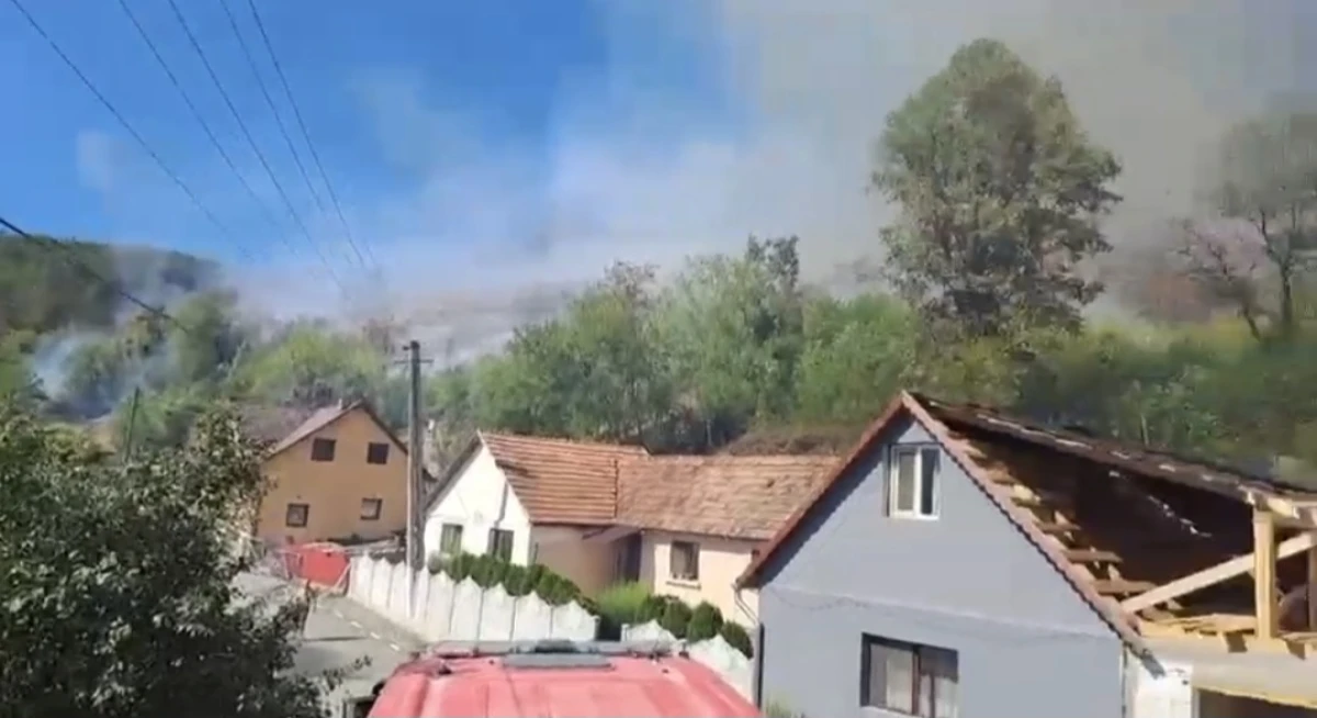Incendiu de vegetație pe 10 hectare, în localitatea Bârzava