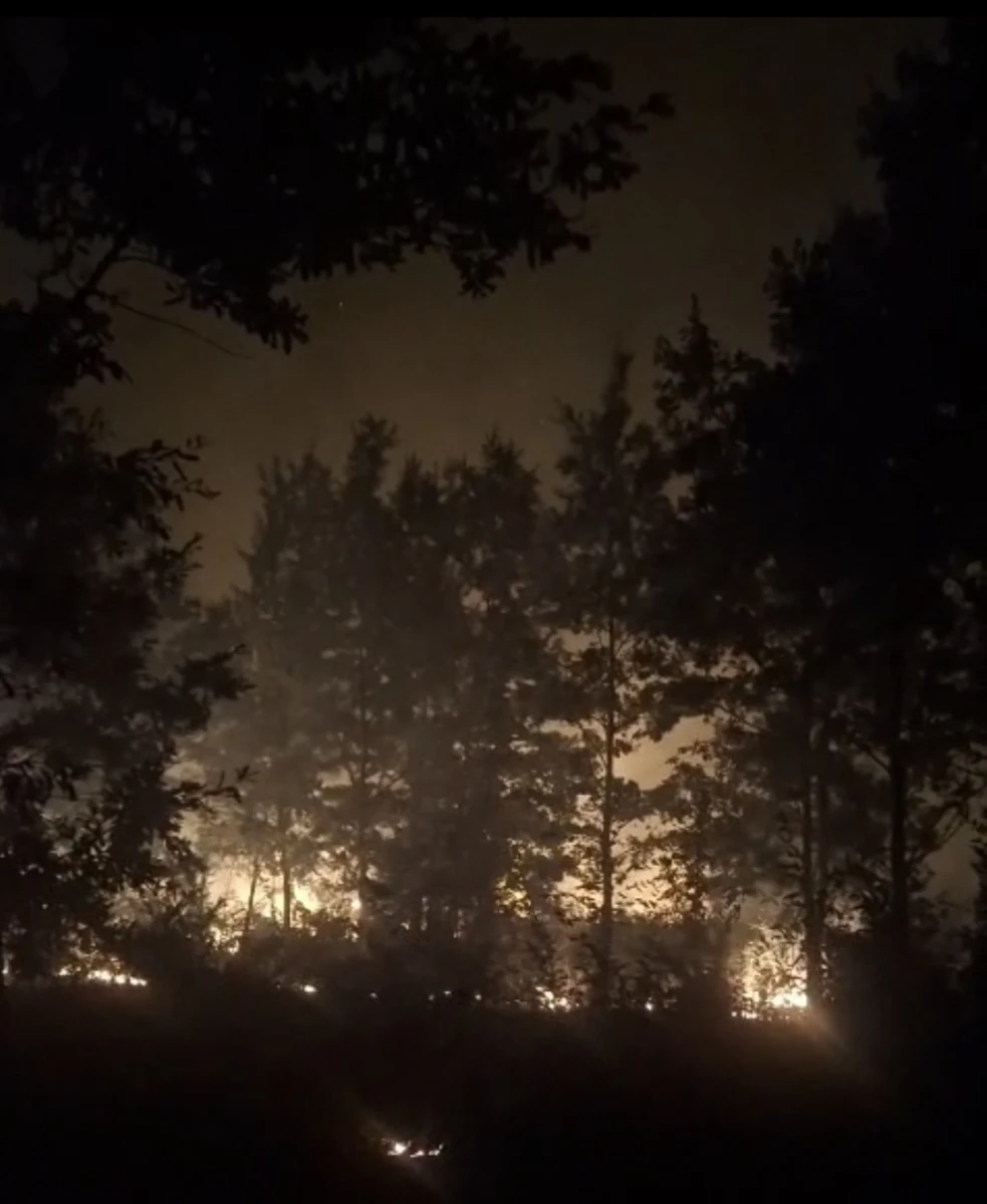 Incendiu de vegetație uscată, în apropiere de Căpâlnaș. Pompierii intervin pentru stingerea flăcărilor