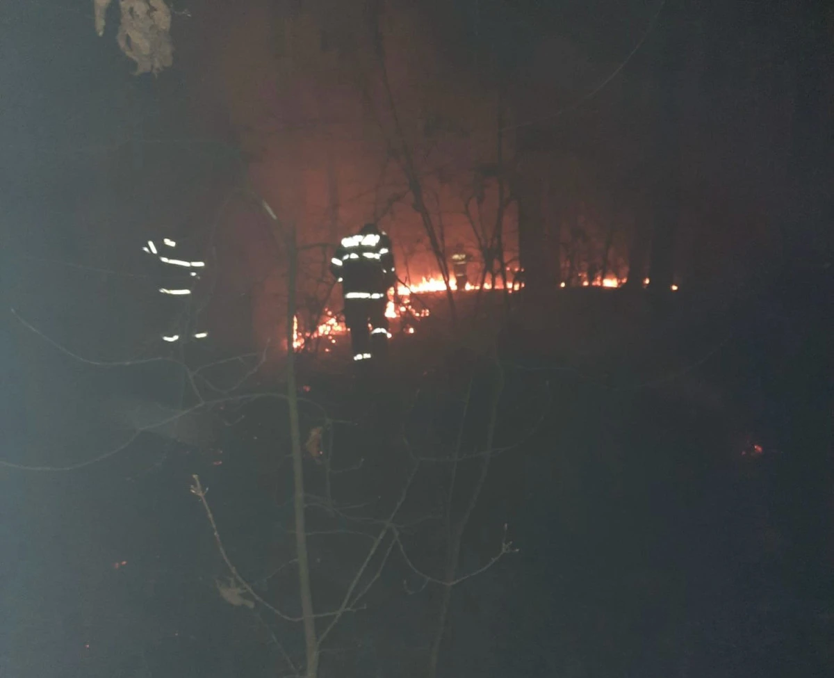 Incendiu de vegetație uscată în Mărăuș. Sunt afectate 20 de hectare