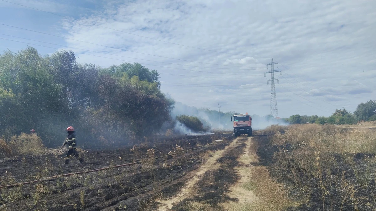 Incendiu de vegetație uscată în zona Câmpul Liniștii din Arad. Focul s-a apropiat de locuințe
