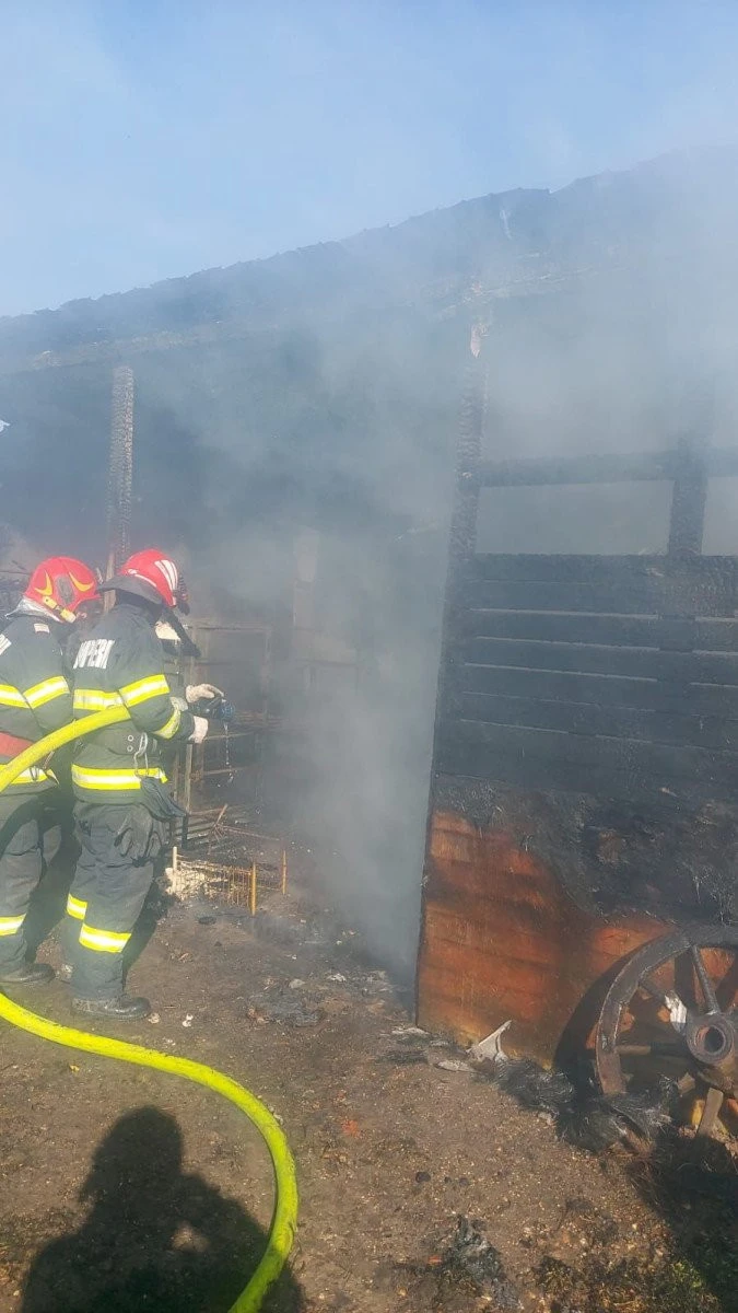 Incendiu între Șofronea și Curtici. Un șopron s-a făcut scrum