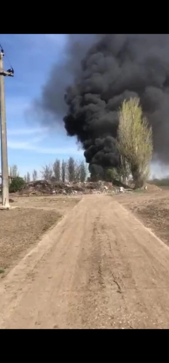 Incendiu la ieșire din Curtici spre Macea, la sere