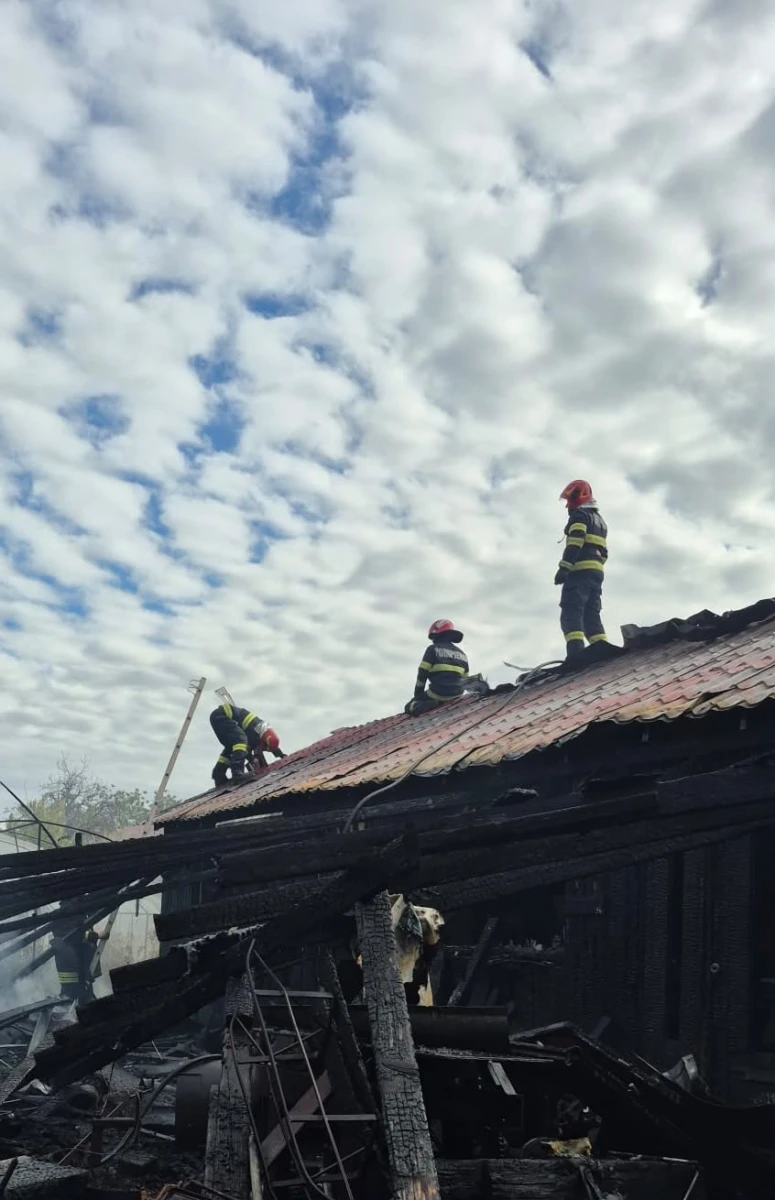 Incendiu la o anexă gospodărească din Sântana