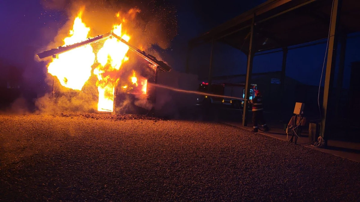 Incendiu la o casă din Sintea Mare. Intervenția promptă a pompierilor a limitat pagubele