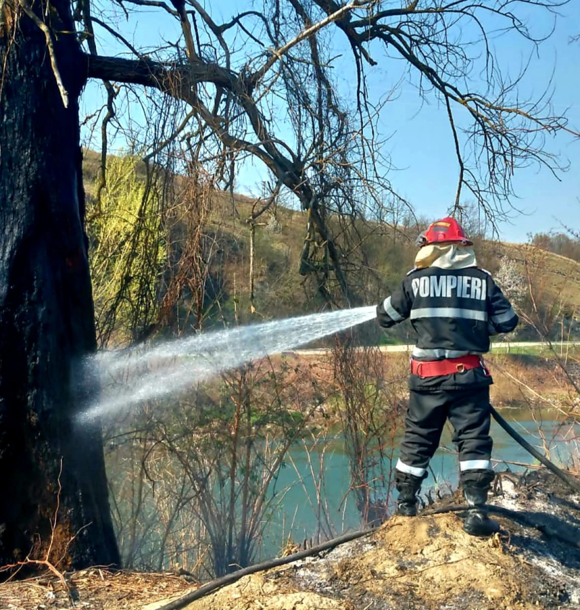Incendiu pe zeci de hectare de pășune la Hălmăgel. 27 de pompieri s-au luptat toată noaptea cu flăcările