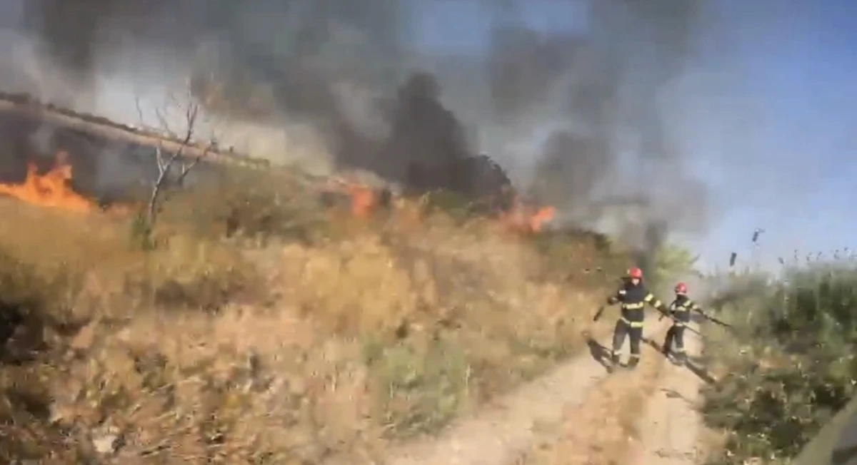 Incendiu violent în Arad, pe strada Cometei. Trei hectare de vegetație și deșeuri au ars, iar focul amenința mai multe gospodării