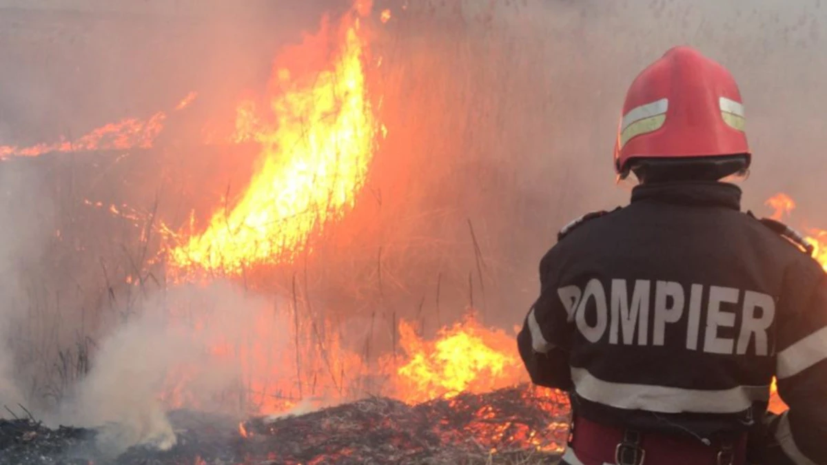 Incendiu violent în Pârneava, pe strada Clujului