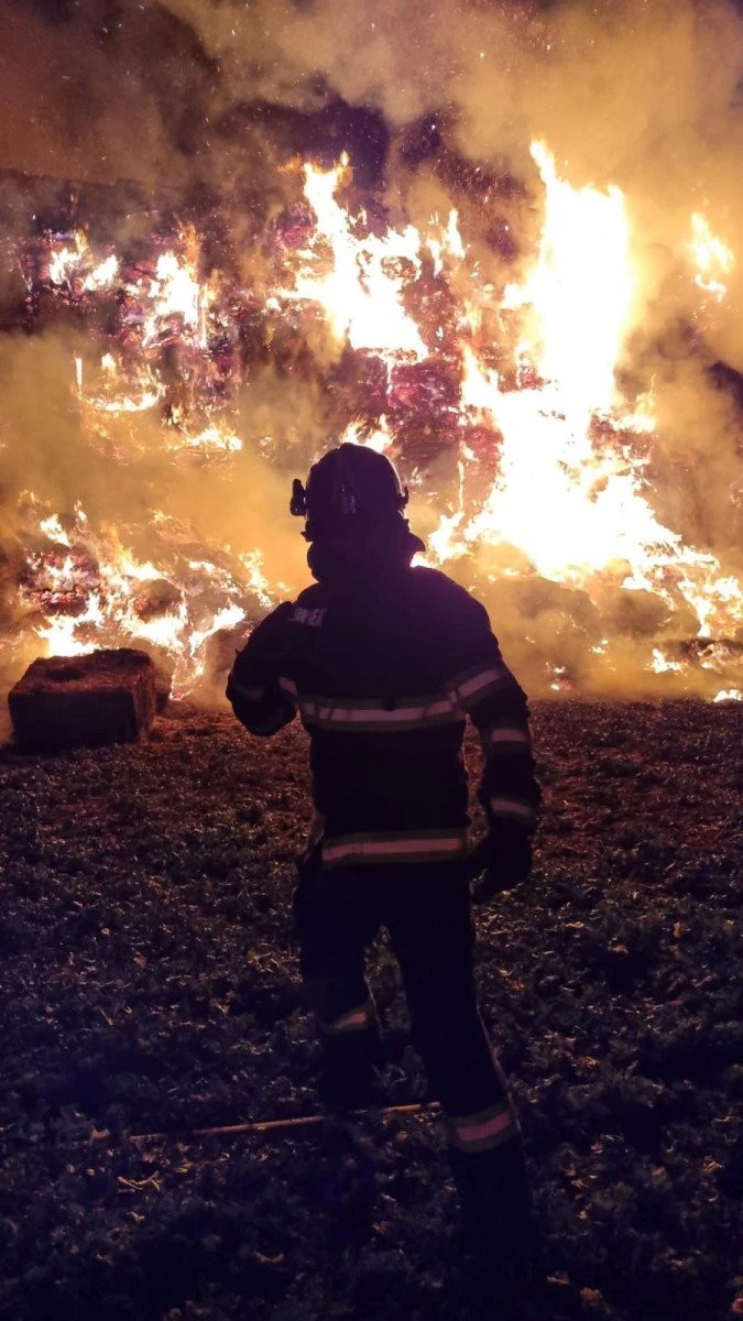 Incendiul de vegetație de la Pecica intră în cea de-a treia zi