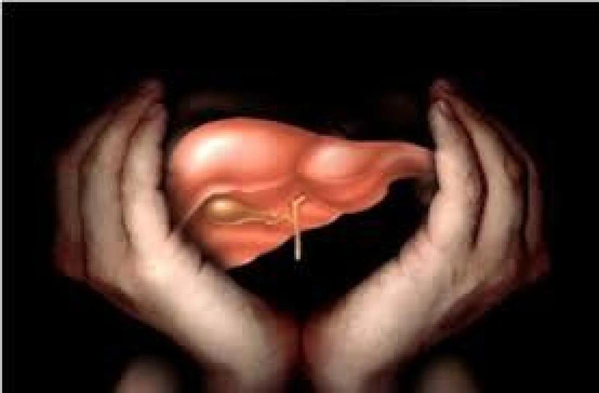 INFUZIA DE ARMURARIU ELIMINA TOXINELE DIN FICAT