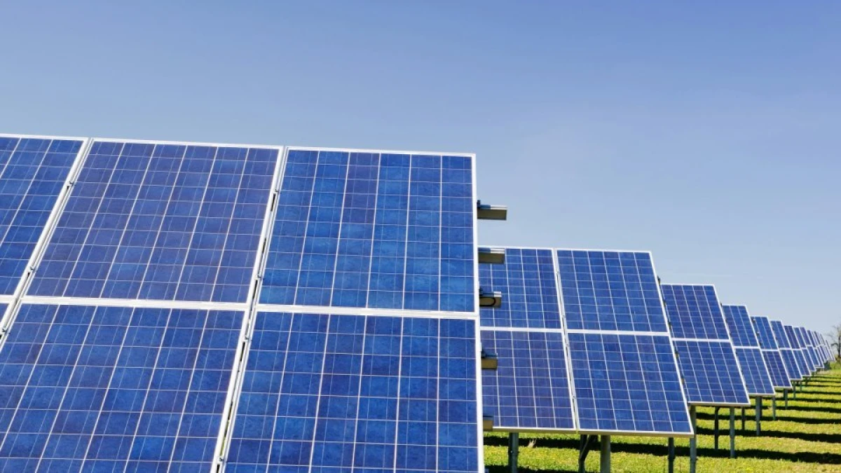 Investiție de peste 500 de milioane de euro în județul Arad: a început construcția unui parc fotovoltaic la Horia