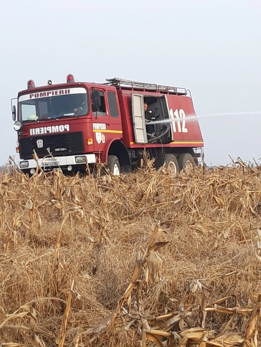 ISU Arad: Renunțați la curățarea terenurilor prin incendiere! 19 incendii, în doar șapte zile