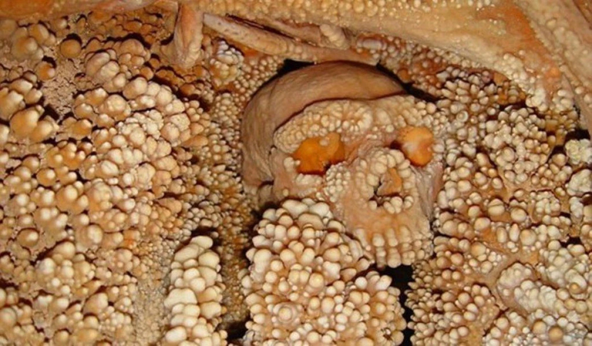 ITALIENII AU EXTRAS CEA MAI VECHE PROBA DE ADN DE LA UN OM DIN NEANDERTHAL