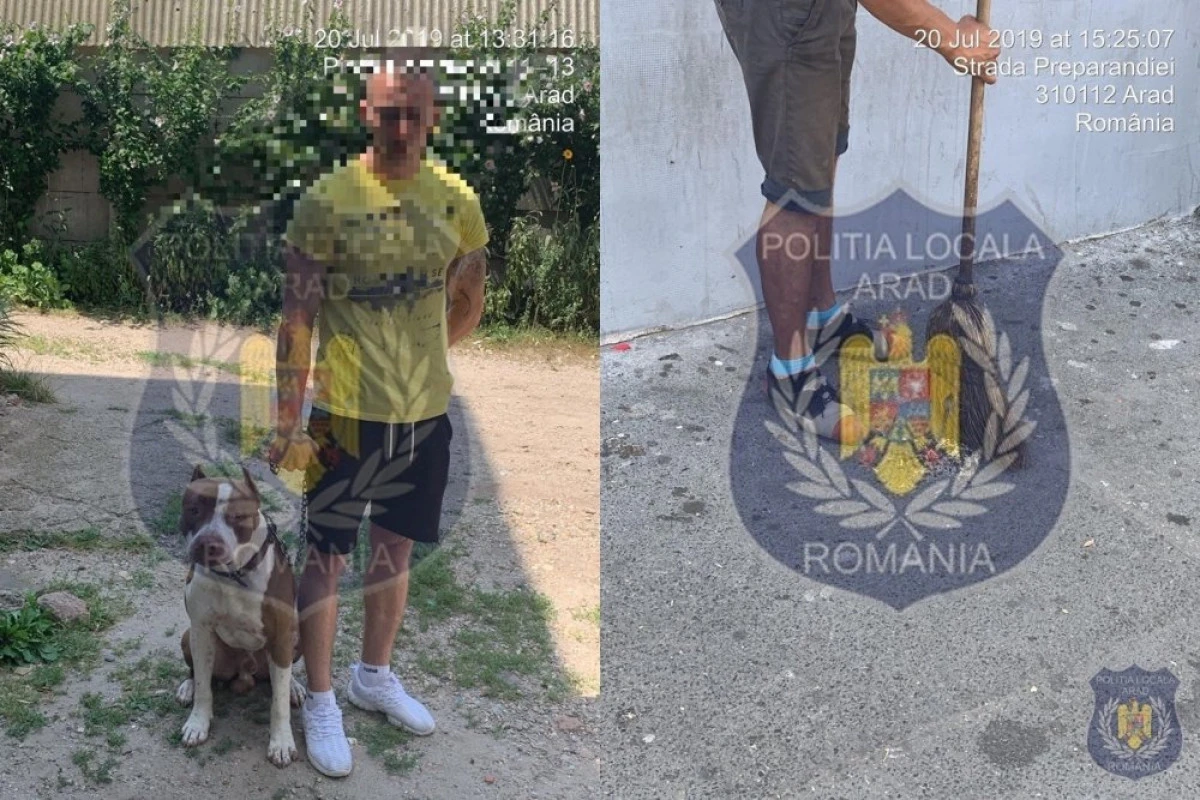 Îți place să mănânci semințe și să arunci cojile pe jos? Vezi cât te poate costa ”distracția”!