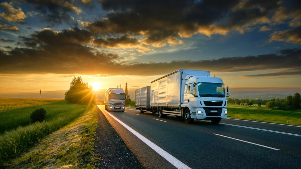 ITM verifică firmele de transport din județul Arad