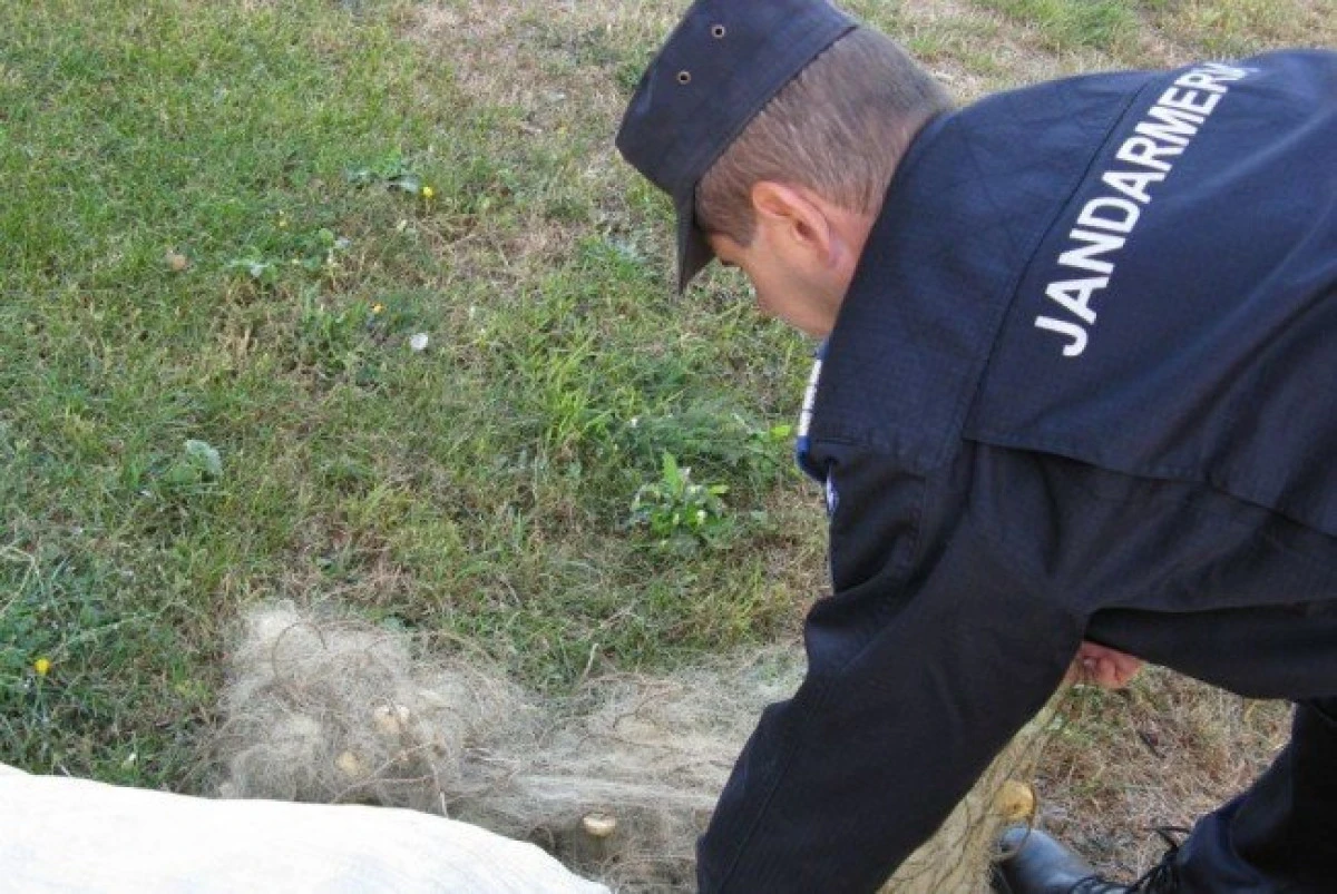 Jandarmii au prins doi bărbați care pescuiau prin metoda ,,greblare”