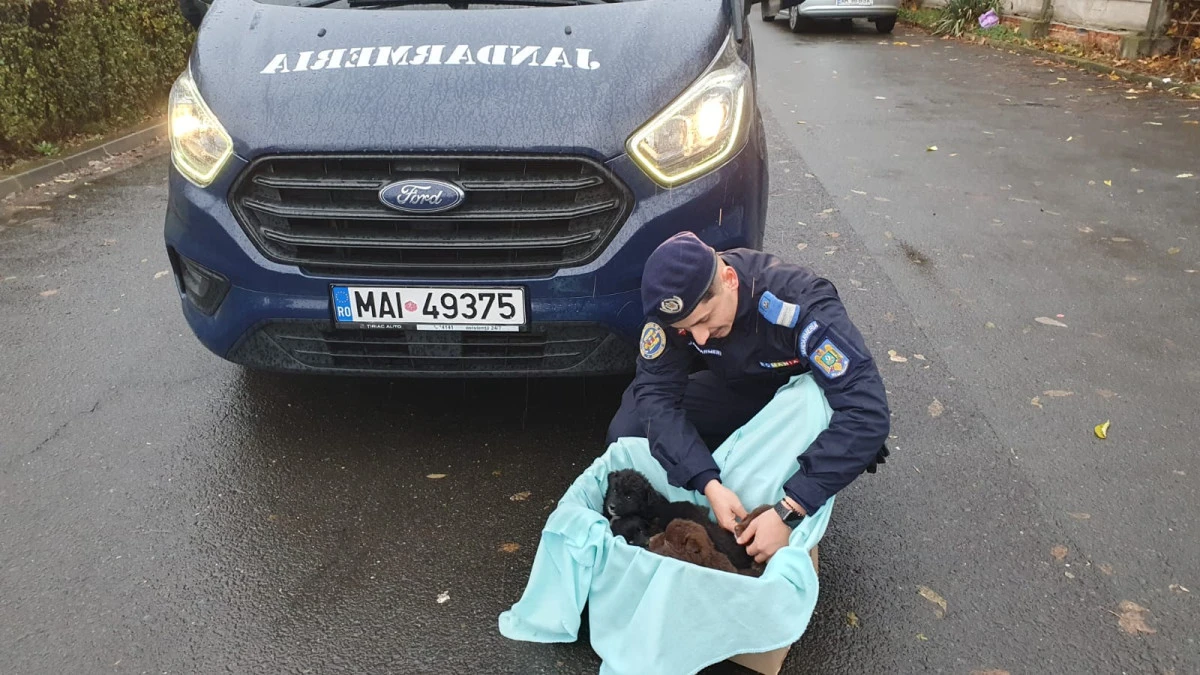 Jandarmul Ionuţ Ilie a salvat opt căţeluşi
