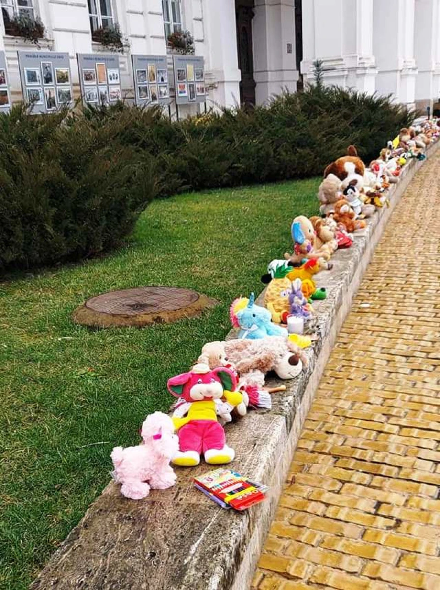 Jucăriile din pluş lăsate în faţa Primăriei Arad, în semn de protest după moartea câinelui Zeus, vor fi donate