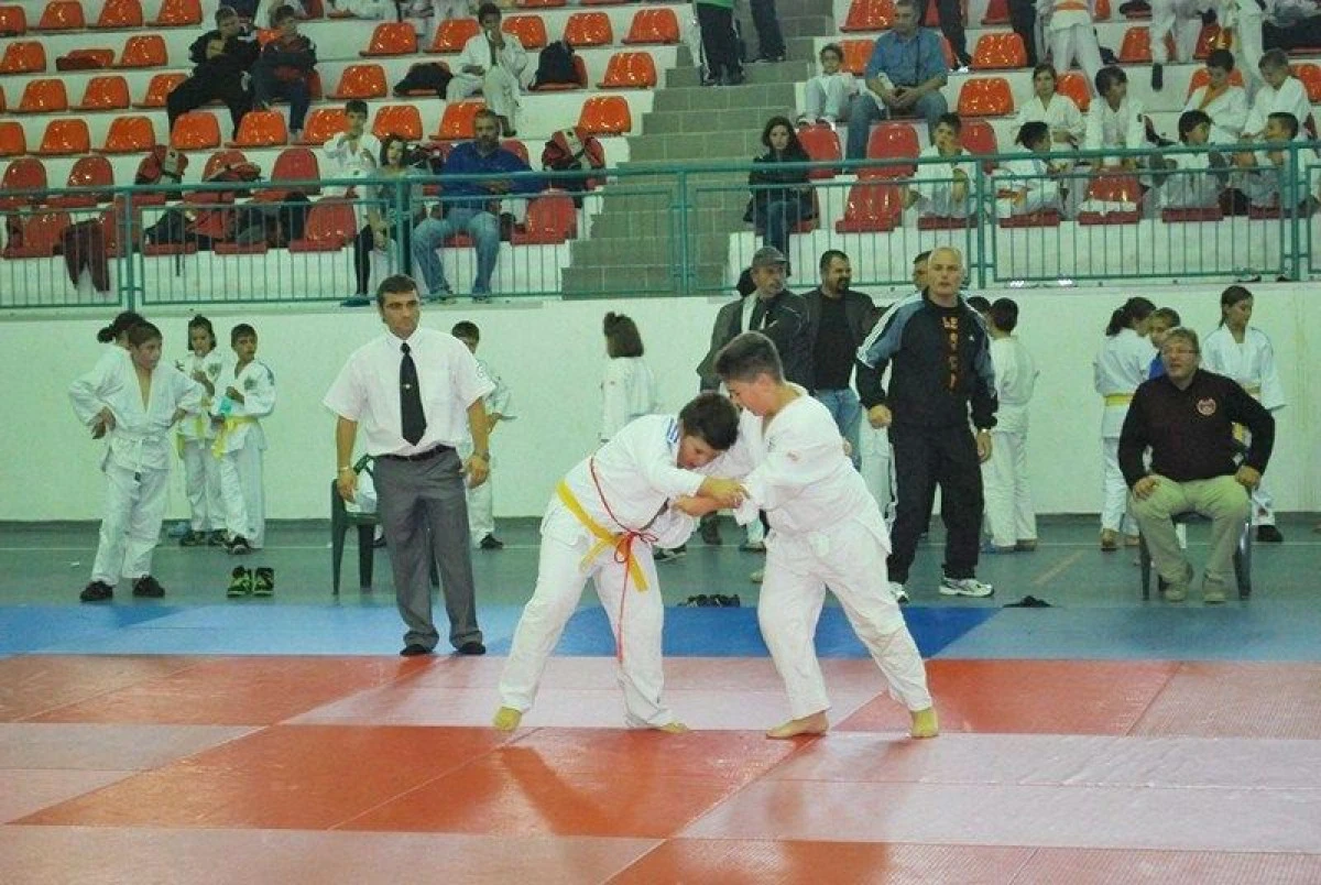 Judoka CSM-ului au cucerit medalii la „Mureşul Cis Gaz”