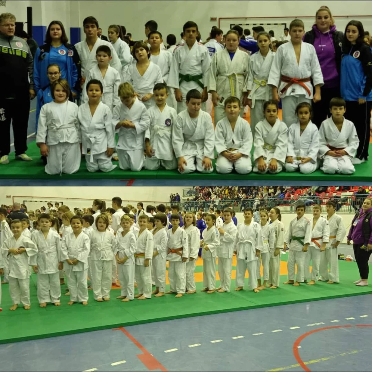 Judoka de la CSM Arad şi Panda Team, medaliaţi la Cupa Carolina, în aşteptarea lui Moş Crăciun