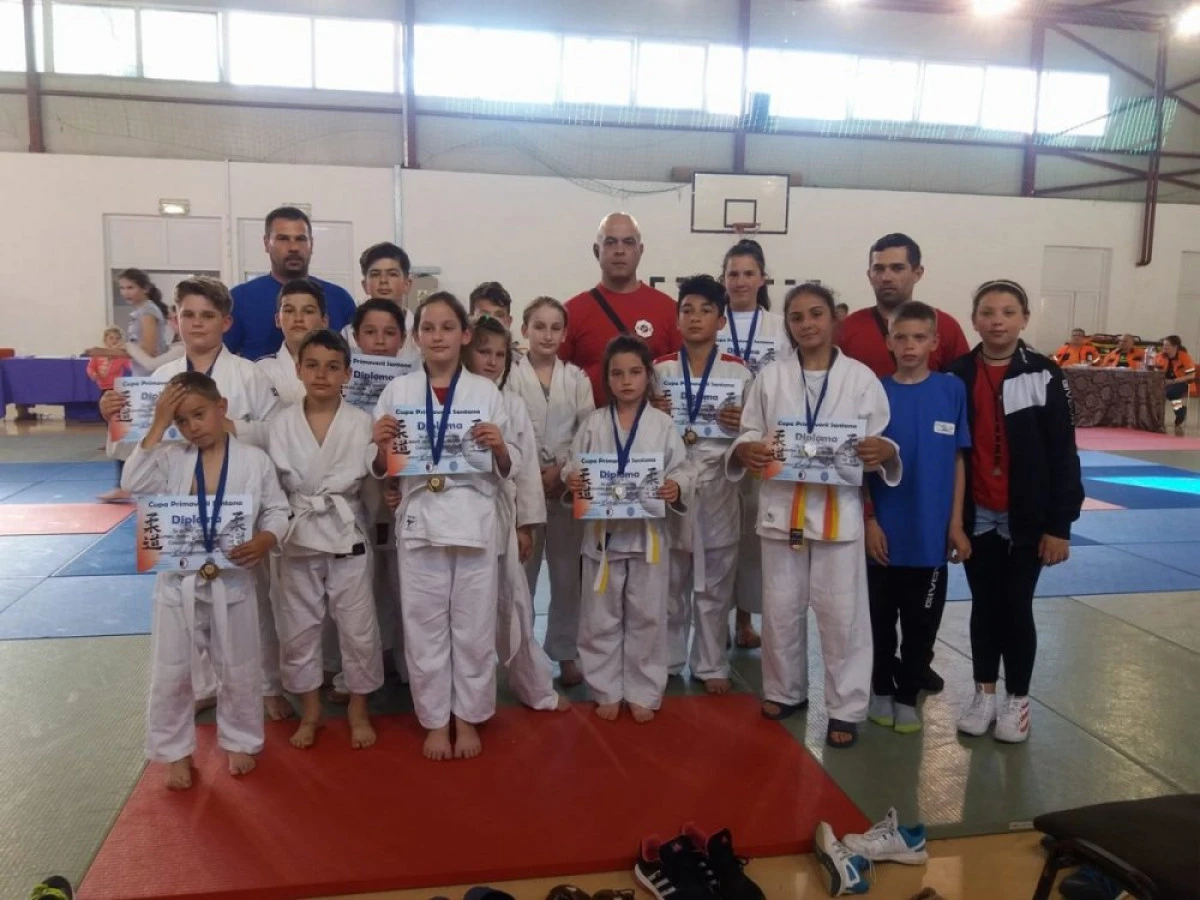 Judoul prinde contur, la Felnac. În 2019 urmează afilierea