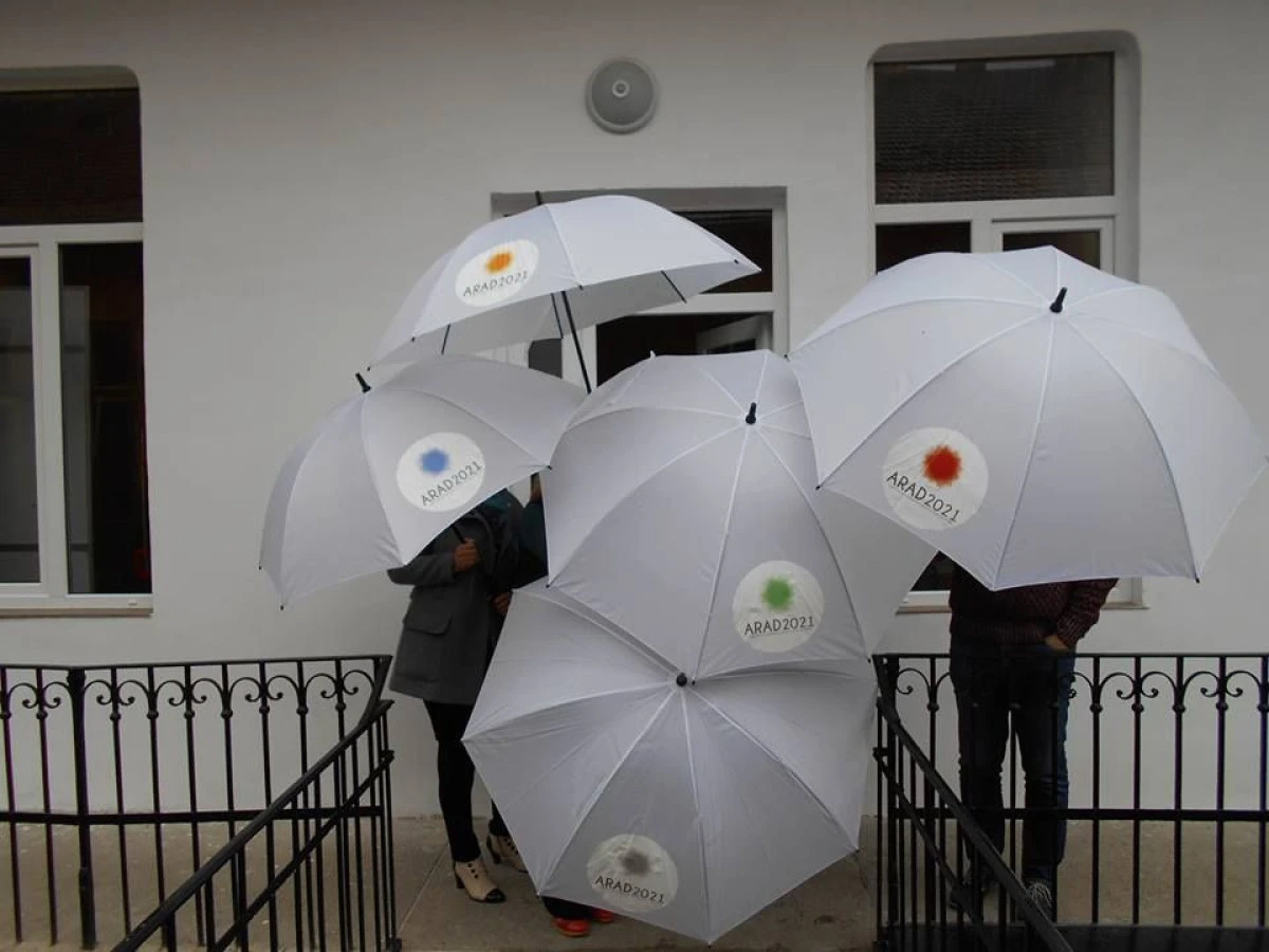 JURIUL CAPITALEI CULTURALE 2021 FACE PRAF ECHIPA CARE S-A OCUPAT DE PROIECTUL ARADULUI