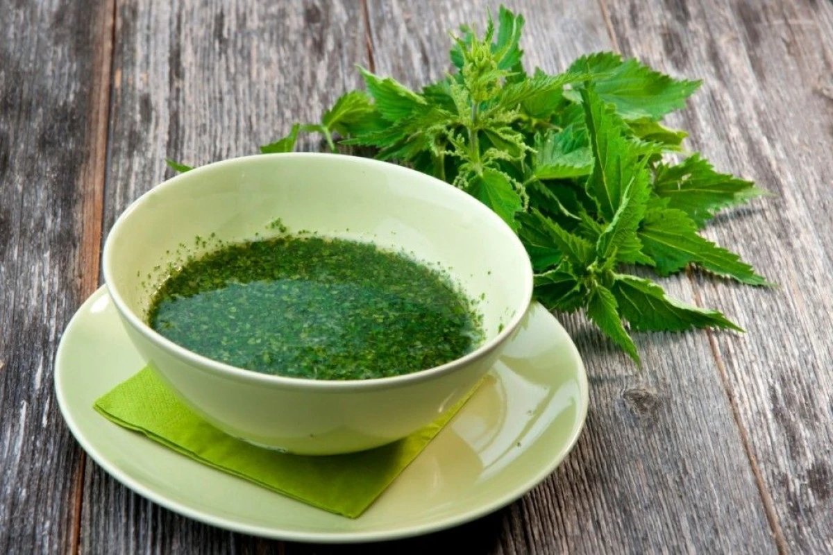 LA IESIREA DIN IARNA, URZICA NE ADUCE UN  IMPORTANT APORT DE VITAMINE
