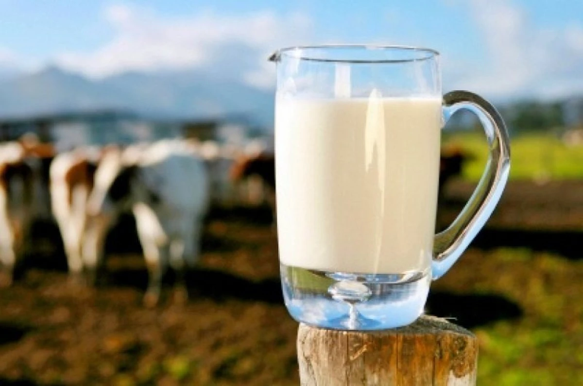 Laptele și produsele lactate se scumpesc