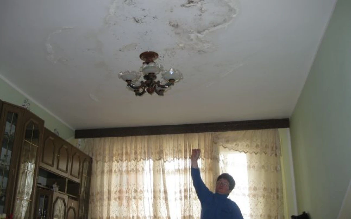 Legătura dintre mucegai și creșterea în greutate