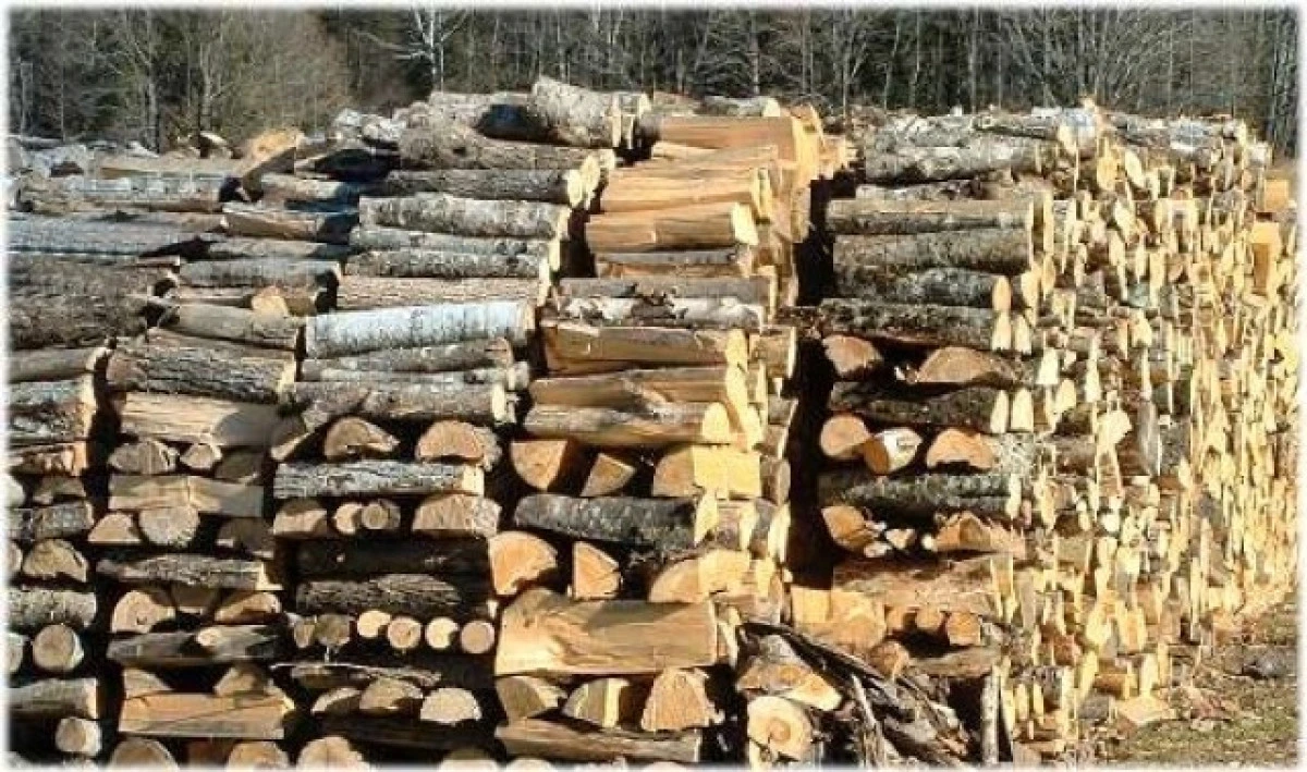 Lemnul de foc, mai ieftin cu 17% în Arad. Cantitățile disponibile, de patru ori mai mari din cauza furtunilor