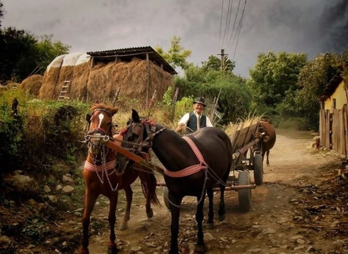 Lumea Satului Românesc: Un tablou fermecător al frumuseții rurale și agriculturii locale tradiționale