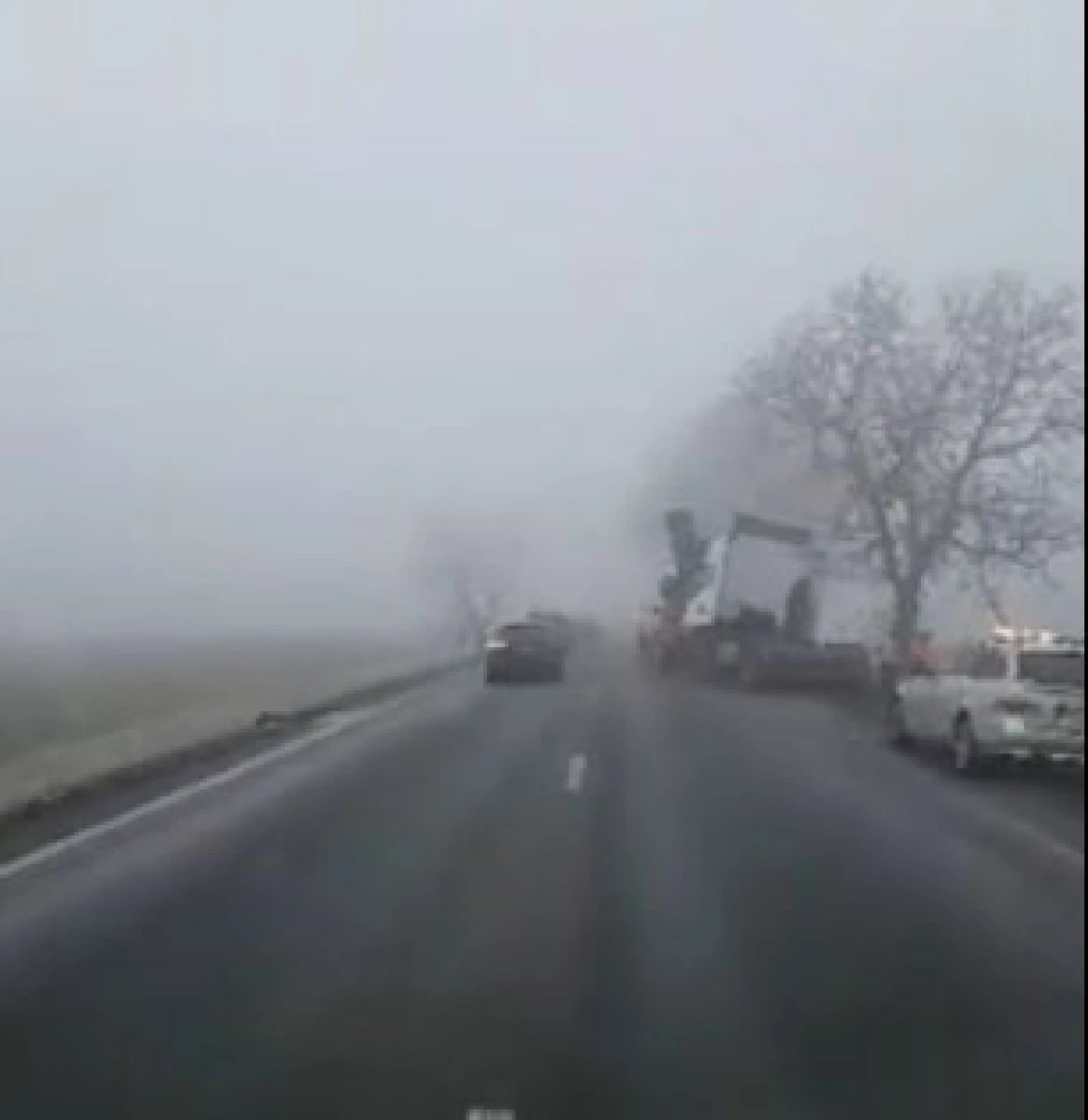 Mai multe accidente au avut loc vineri, între Pecica şi Nădlac