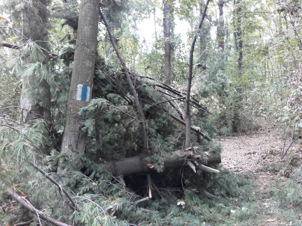 Mai multe trasee montane din Arad sunt afectate şi trebuie evitate