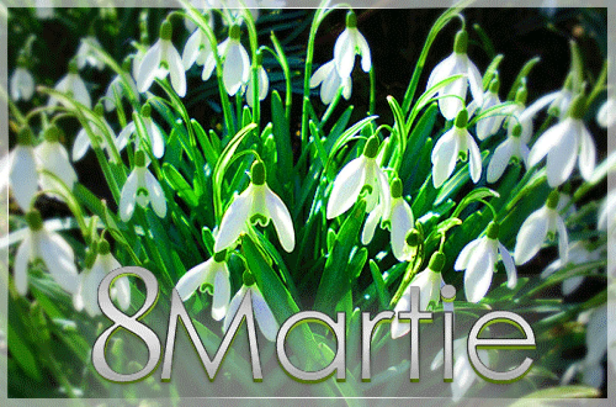 MARTI, 8 MARTIE 2016