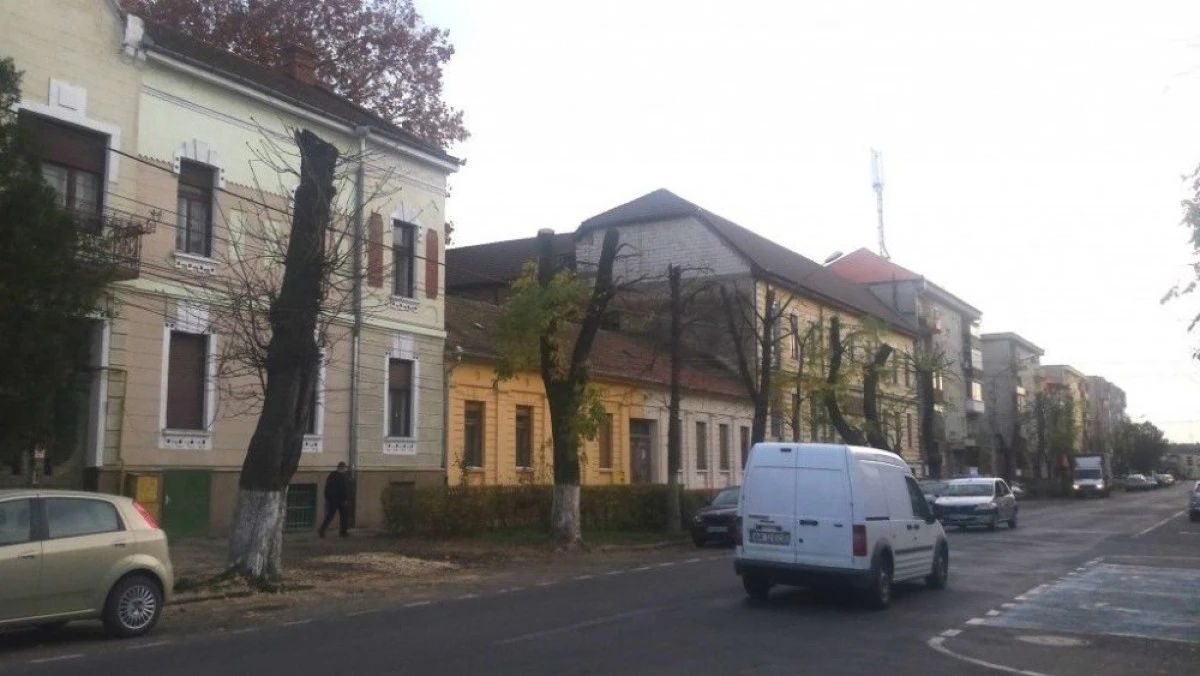 MASACRUL COPACILOR CONTINUA: UNIVERSUL VERDE A FACUT PRAPAD PE STRADA STEFAN AUGUSTIN DOINAS