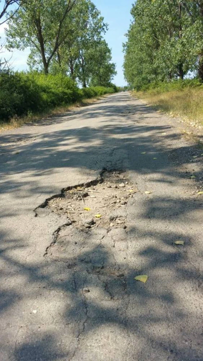 Maşinile circulă pe câmp pentru a evita un drum judeţean din Arad (FOTO)