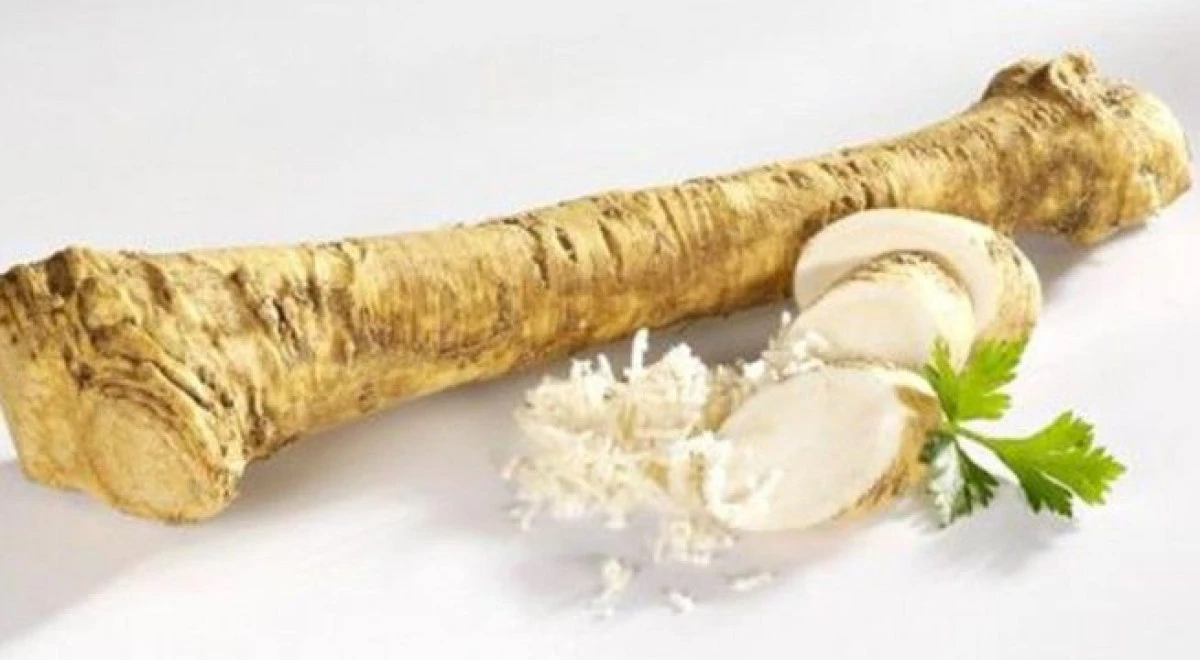 MEDICAMENTE NATURALE DE SEZON: HREANUL SI MUSTARUL
