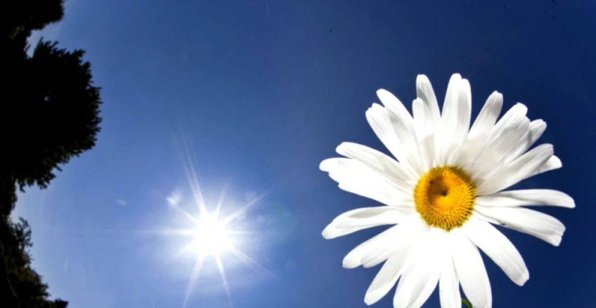Meteorologii au anunțat când vine vara și când scăpăm de ploi